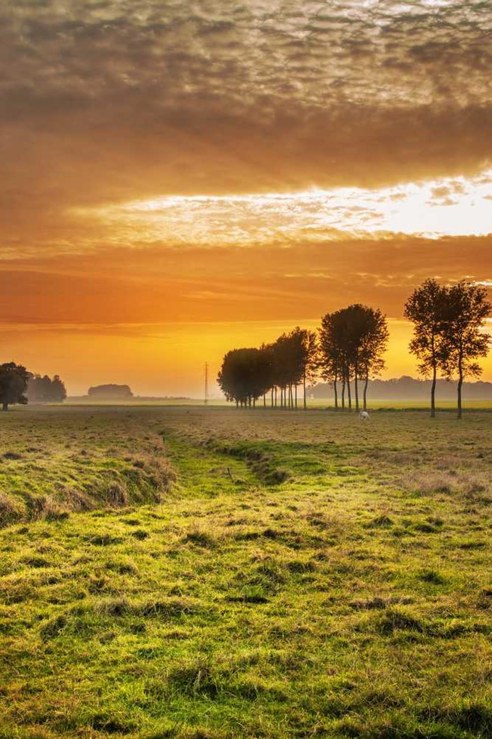 Lorem ipsum dolor sit amet, consectetur adipiscing elit